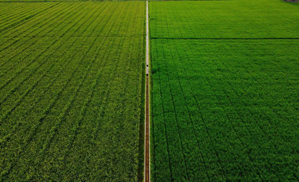 white metal pole on green grass field during daytime