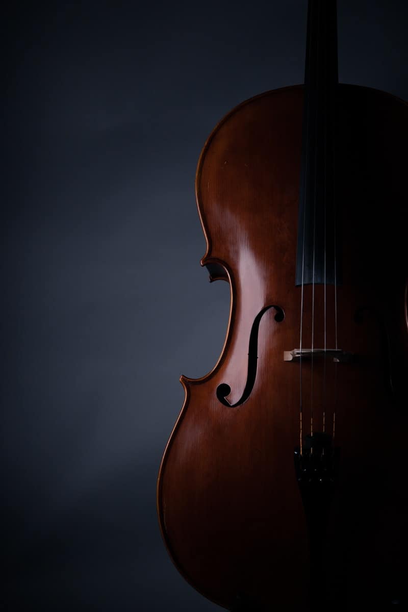 brown violin on white wall