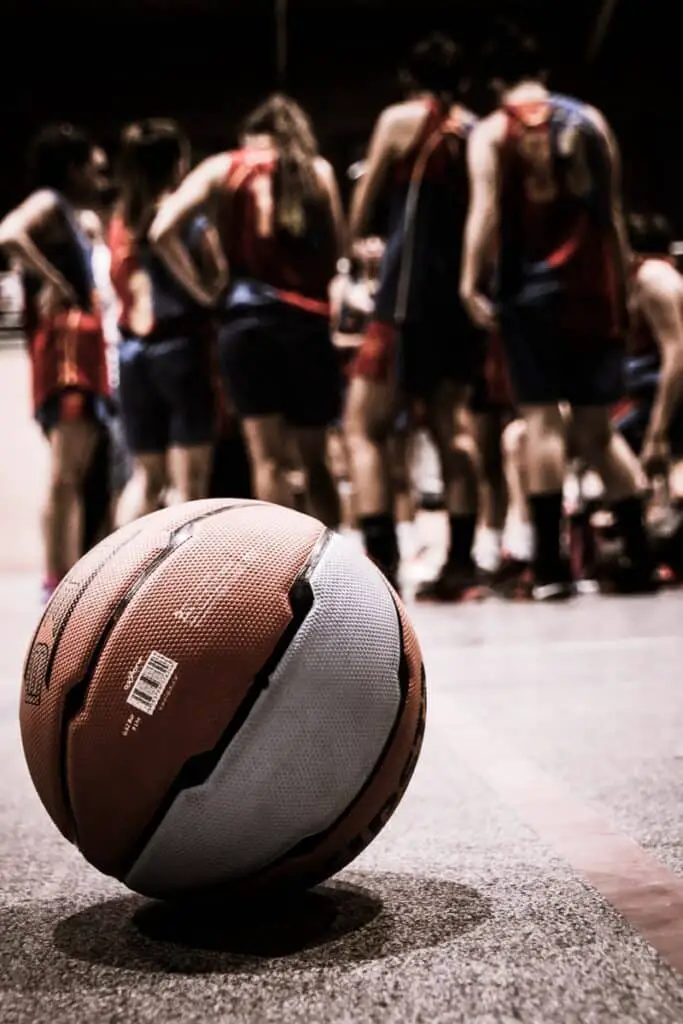 brown and gray basketball