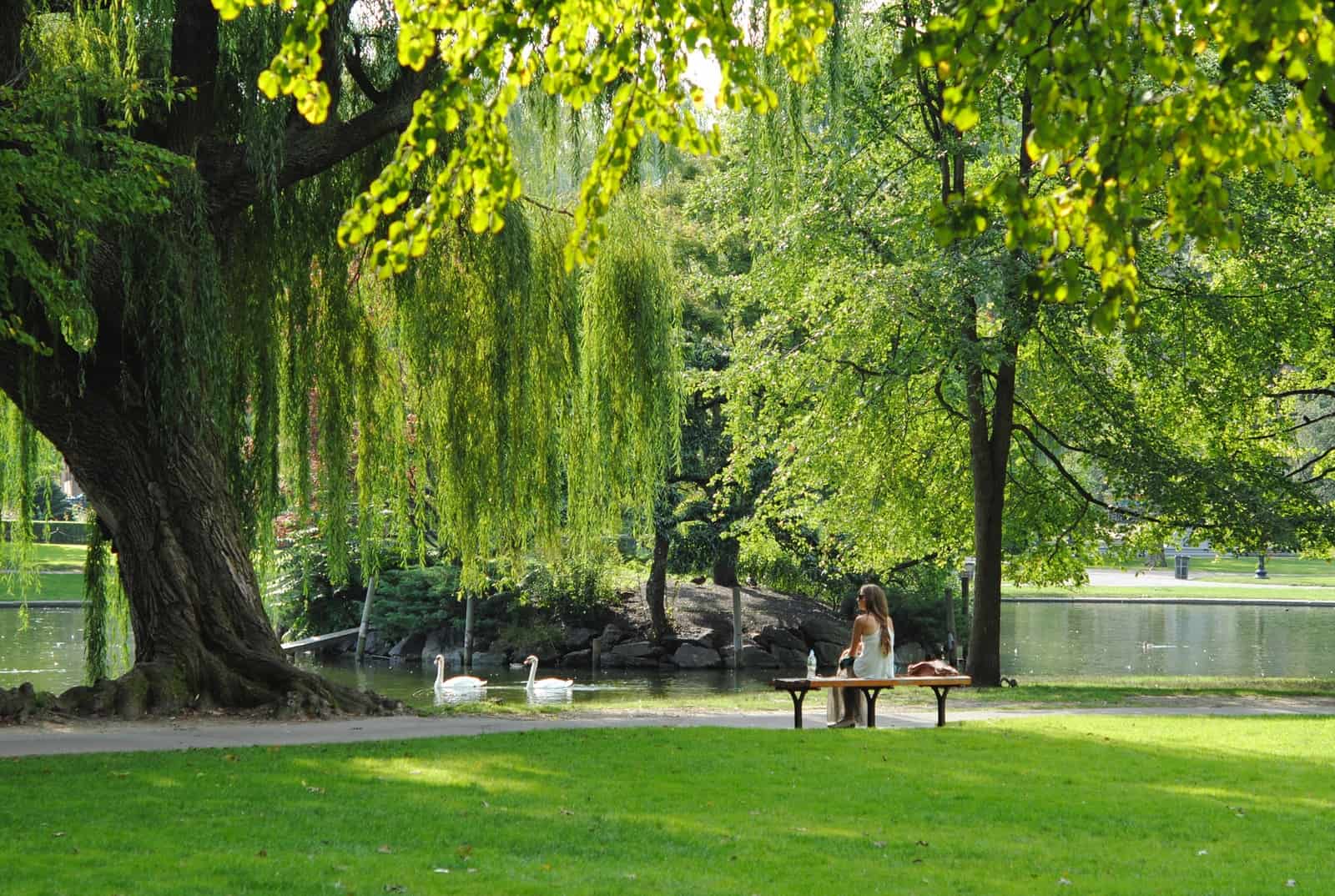 woman sitting on bench