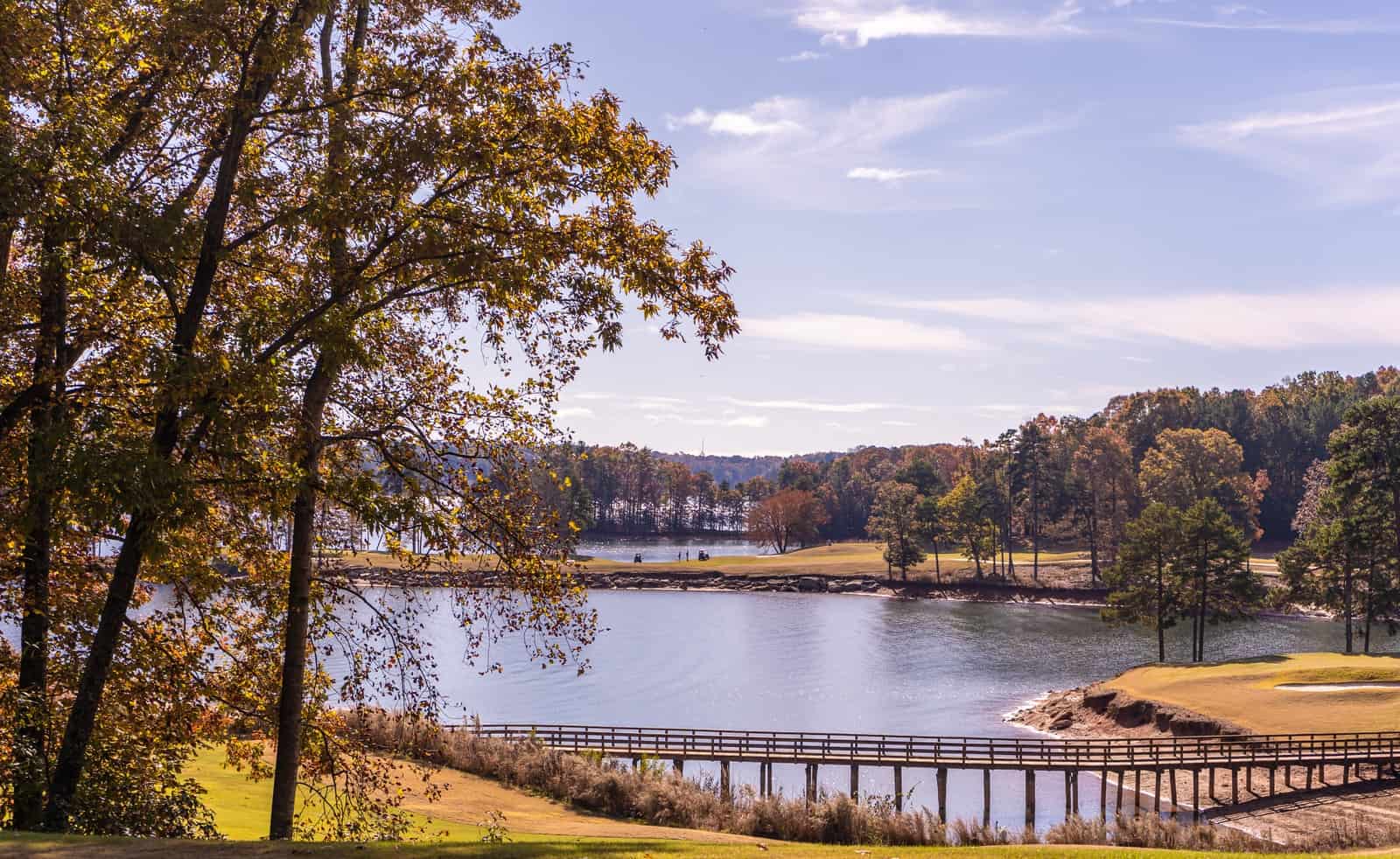 brown wooden bridge and lake scenery