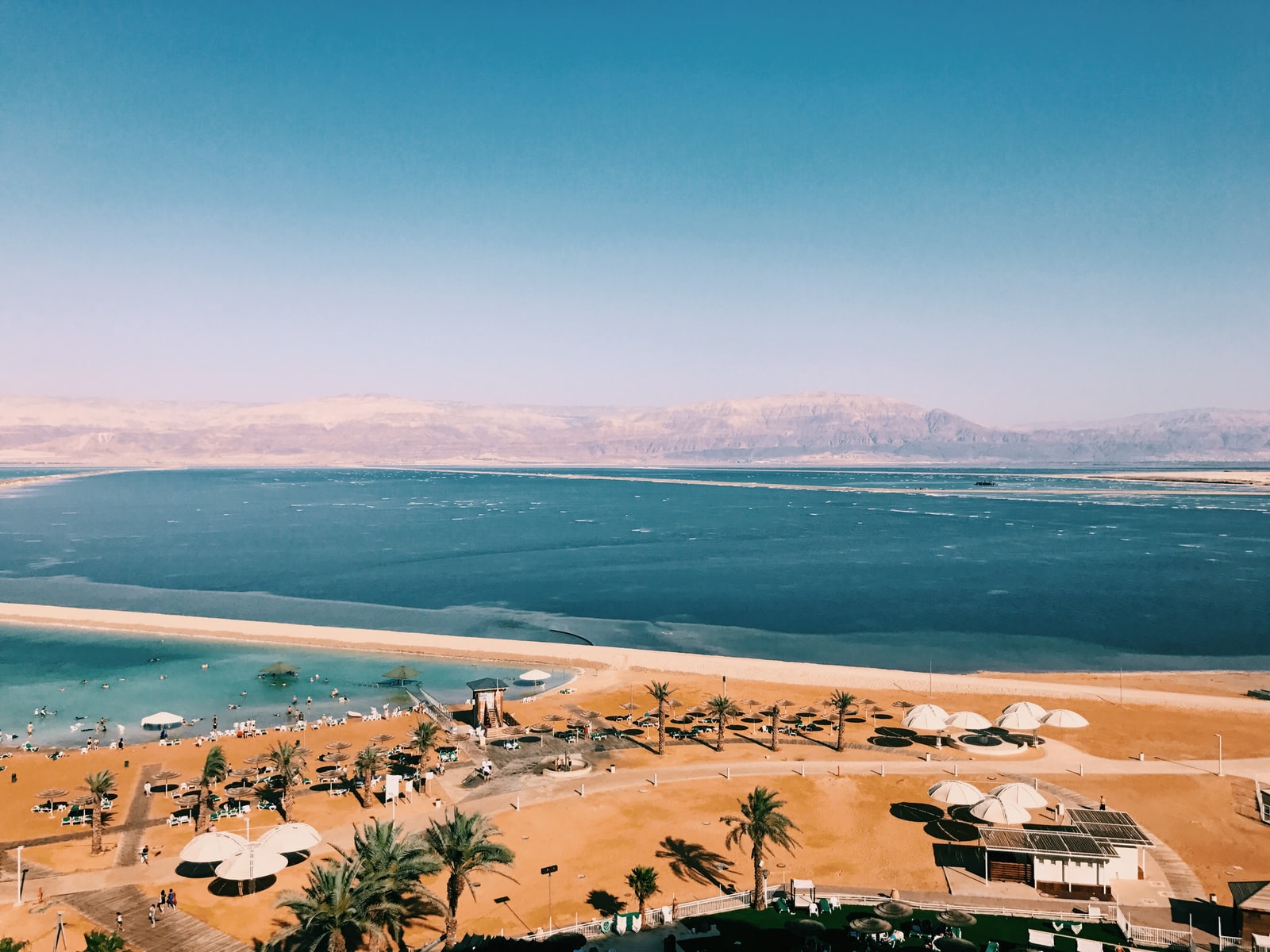 green palm trees near body of water during daytime