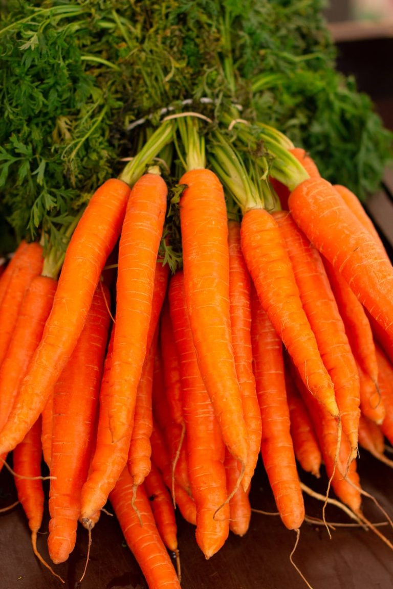 How long is the world’s longest carrot? - LargestandBiggest.com
